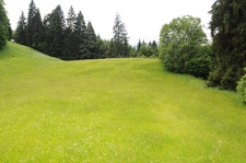 sample_pic_5