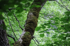 sample_pic_6